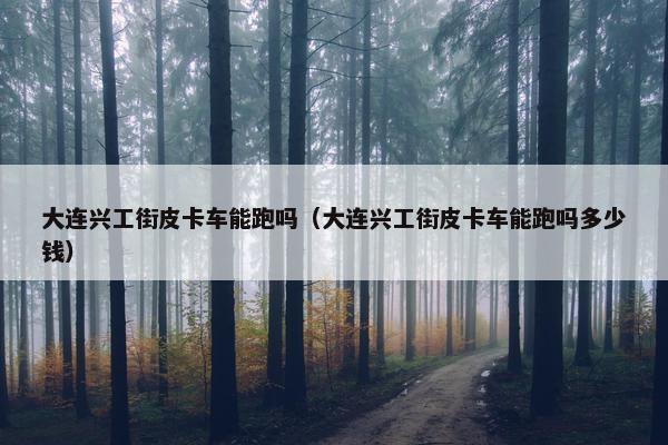 大连兴工街皮卡车能跑吗（大连兴工街皮卡车能跑吗多少钱）