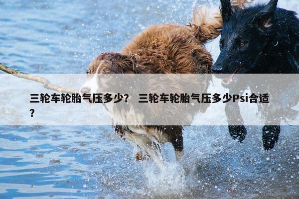 三轮车轮胎气压多少？ 三轮车轮胎气压多少Psi合适？