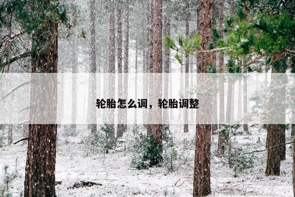 轮胎怎么调，轮胎调整