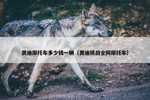 奥迪摩托车多少钱一辆（奥迪挑战全网摩托车）