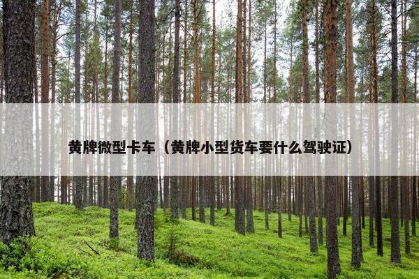 黄牌微型卡车（黄牌小型货车要什么驾驶证）