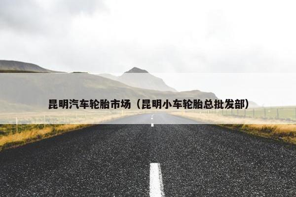 昆明汽车轮胎市场（昆明小车轮胎总批发部）
