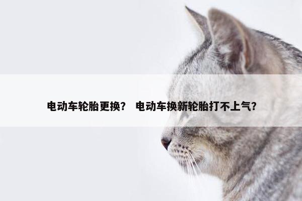 电动车轮胎更换？ 电动车换新轮胎打不上气？