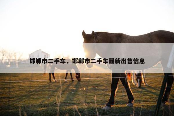 邯郸市二手车，邯郸市二手车最新出售信息