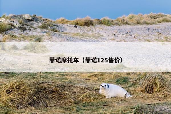 菲诺摩托车（菲诺125售价）