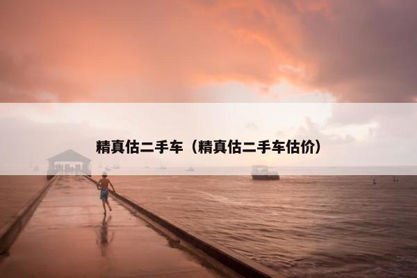 精真估二手车（精真估二手车估价）
