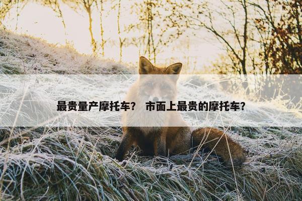 最贵量产摩托车？ 市面上最贵的摩托车？