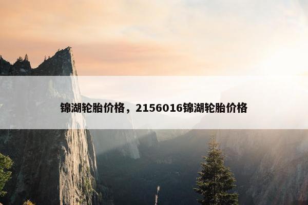 锦湖轮胎价格，2156016锦湖轮胎价格
