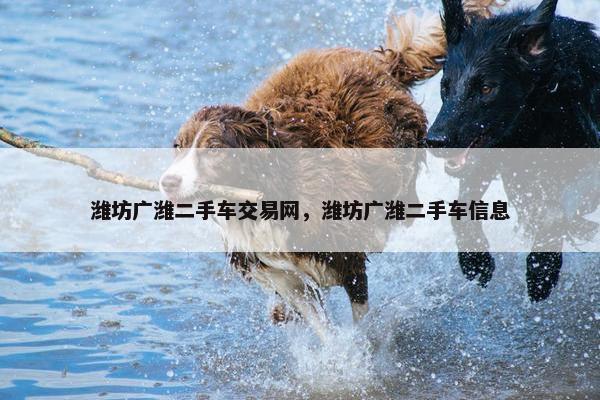 潍坊广潍二手车交易网，潍坊广潍二手车信息