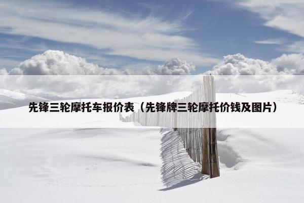 先锋三轮摩托车报价表（先锋牌三轮摩托价钱及图片）