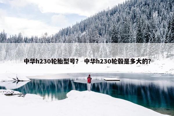 中华h230轮胎型号？ 中华h230轮毂是多大的？