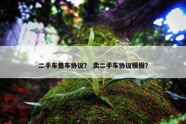 二手车售车协议？ 卖二手车协议模板？