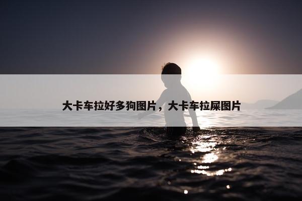 大卡车拉好多狗图片，大卡车拉屎图片