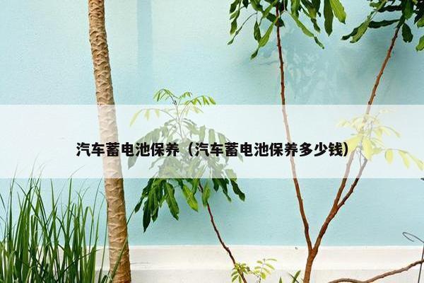 汽车蓄电池保养（汽车蓄电池保养多少钱）