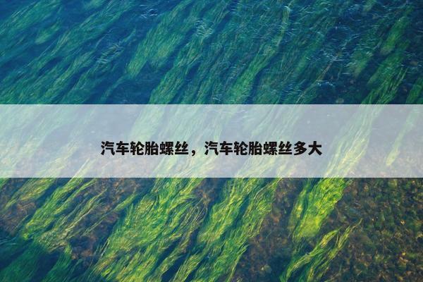 汽车轮胎螺丝，汽车轮胎螺丝多大