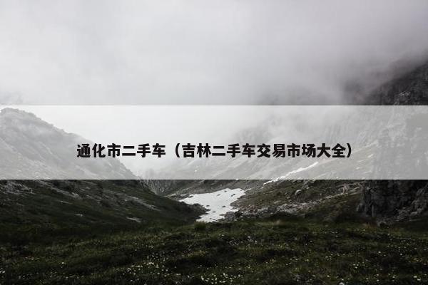 通化市二手车（吉林二手车交易市场大全）