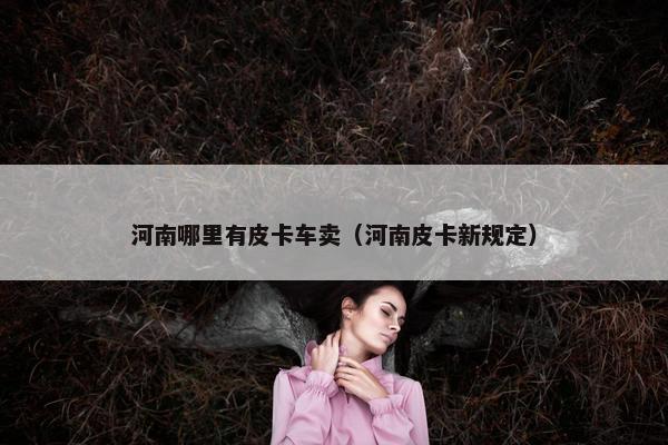 河南哪里有皮卡车卖（河南皮卡新规定）