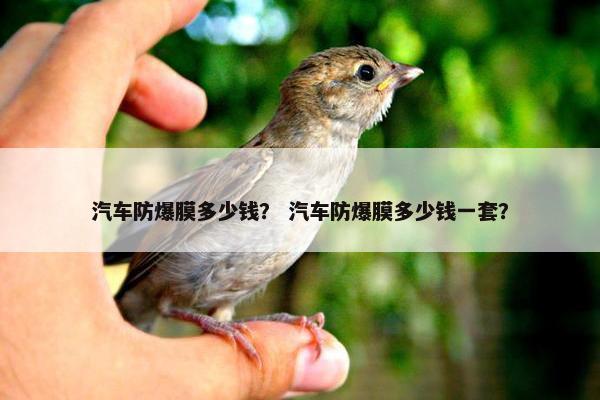 汽车防爆膜多少钱？ 汽车防爆膜多少钱一套？