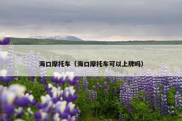 海口摩托车（海口摩托车可以上牌吗）
