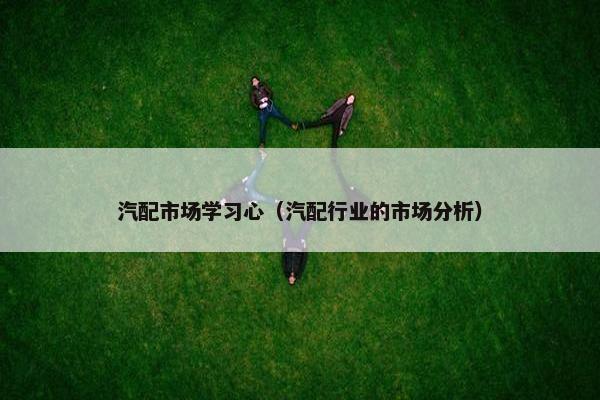 汽配市场学习心（汽配行业的市场分析）
