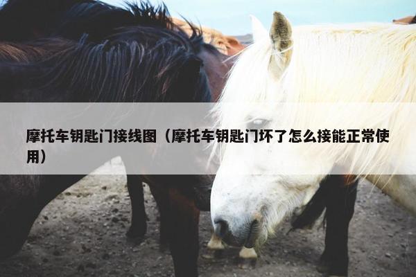 摩托车钥匙门接线图（摩托车钥匙门坏了怎么接能正常使用）
