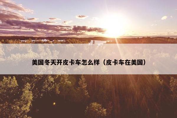 美国冬天开皮卡车怎么样（皮卡车在美国）