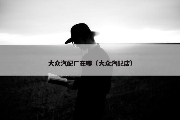 大众汽配厂在哪（大众汽配店）