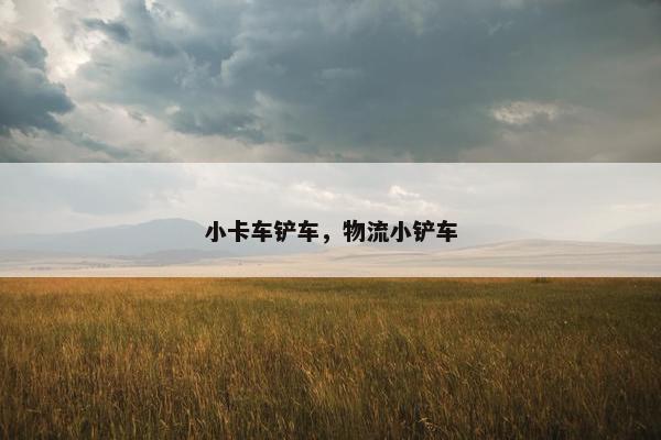 小卡车铲车，物流小铲车