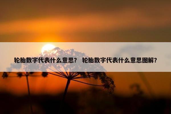 轮胎数字代表什么意思？ 轮胎数字代表什么意思图解？