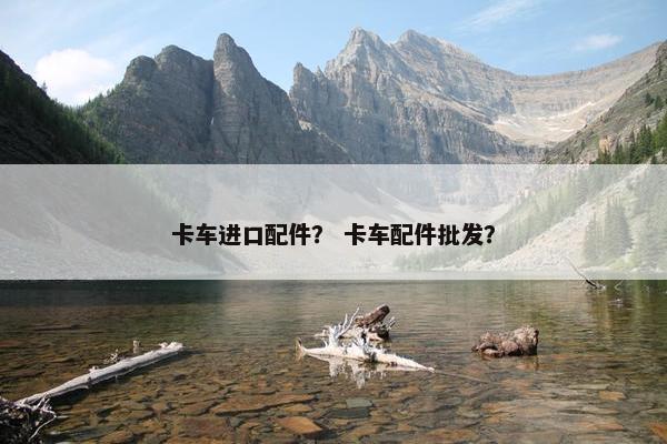 卡车进口配件？ 卡车配件批发？