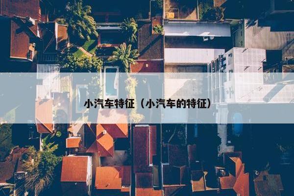 小汽车特征（小汽车的特征）