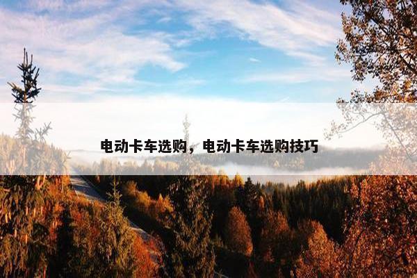 电动卡车选购，电动卡车选购技巧