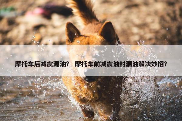 摩托车后减震漏油？ 摩托车前减震油封漏油解决妙招？