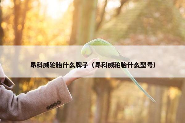 昂科威轮胎什么牌子（昂科威轮胎什么型号）