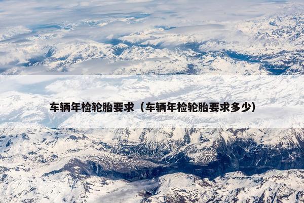 车辆年检轮胎要求（车辆年检轮胎要求多少）
