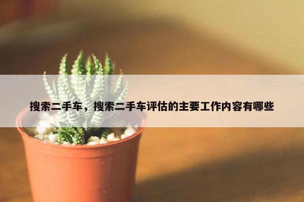搜索二手车，搜索二手车评估的主要工作内容有哪些