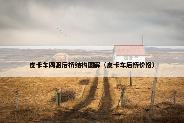 皮卡车四驱后桥结构图解（皮卡车后桥价格）