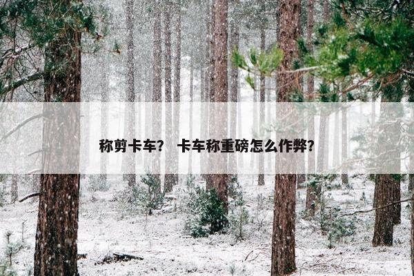 称剪卡车？ 卡车称重磅怎么作弊？