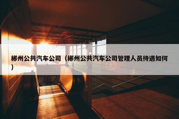 郴州公共汽车公司（郴州公共汽车公司管理人员待遇如何）