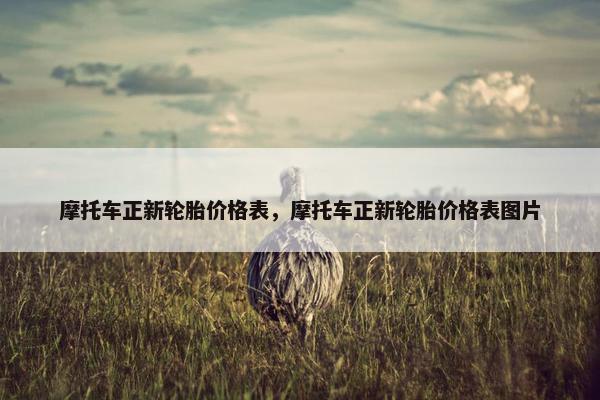 摩托车正新轮胎价格表，摩托车正新轮胎价格表图片