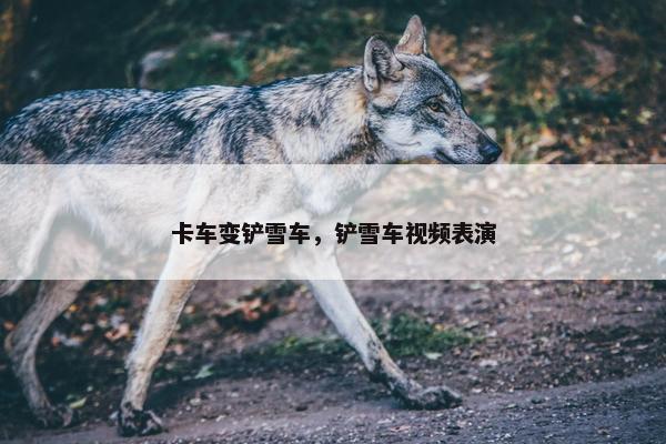 卡车变铲雪车，铲雪车视频表演