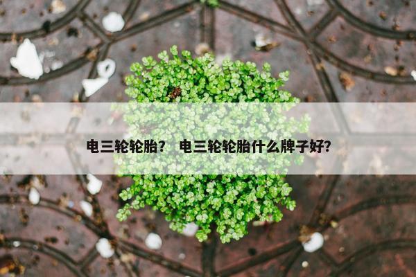 电三轮轮胎？ 电三轮轮胎什么牌子好？
