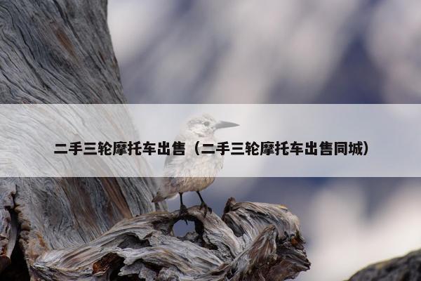 二手三轮摩托车出售（二手三轮摩托车出售同城）