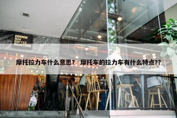 摩托拉力车什么意思？ 摩托车的拉力车有什么特点?？