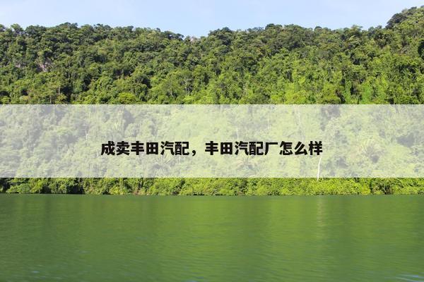 成卖丰田汽配，丰田汽配厂怎么样