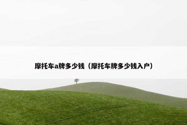 摩托车a牌多少钱（摩托车牌多少钱入户）