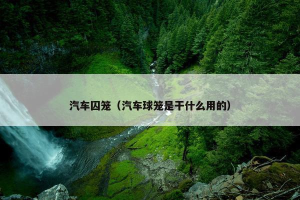 汽车囚笼（汽车球笼是干什么用的）