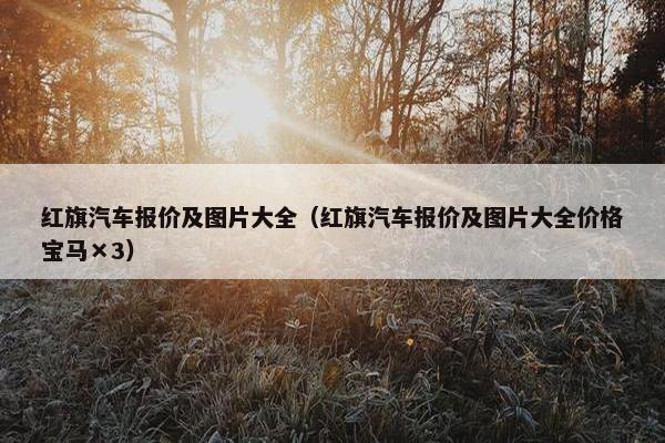 红旗汽车报价及图片大全（红旗汽车报价及图片大全价格宝马×3）