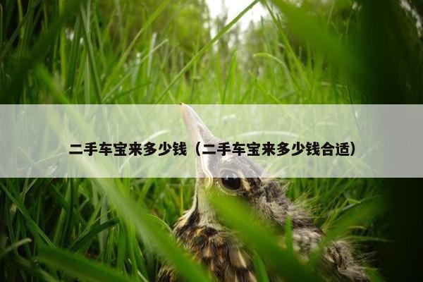 二手车宝来多少钱（二手车宝来多少钱合适）