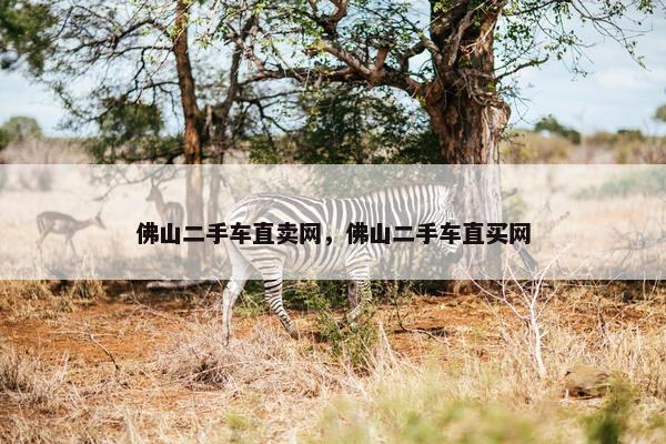 佛山二手车直卖网，佛山二手车直买网